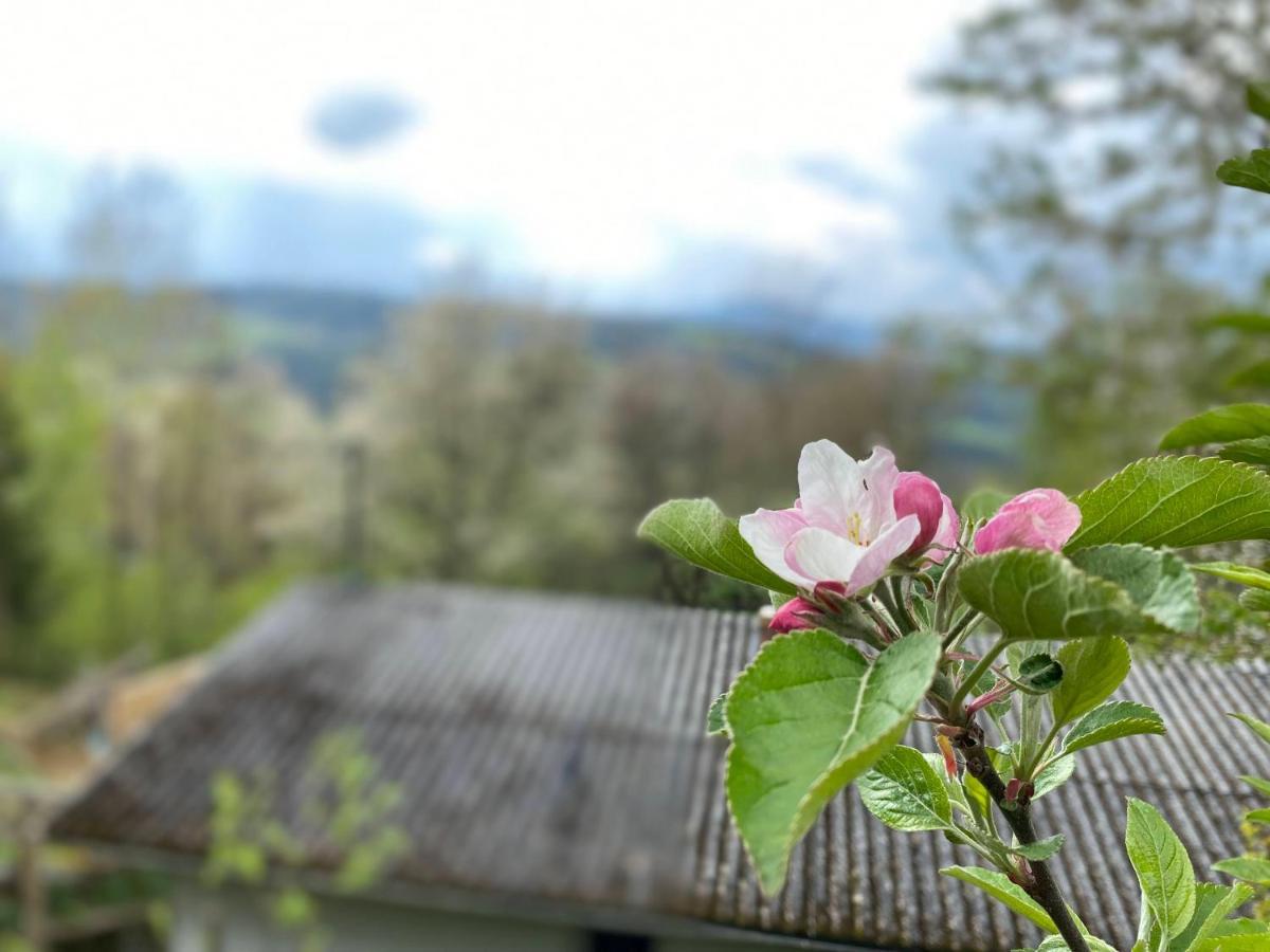 Ferienhaus Auszeit Am Steinbichl